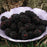 Blackberry, Chester Thornless Blackberry
