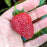 Strawberry, Sweet Kiss™ Strawberry