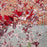 Sandcherry, Purpleleaf Sandcherry