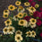 Coneflower, Mellow Yellows Echinacea