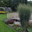 Grass, Prairie Winds® Totem Pole Switch Grass