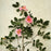 Rose, Virginia Rose