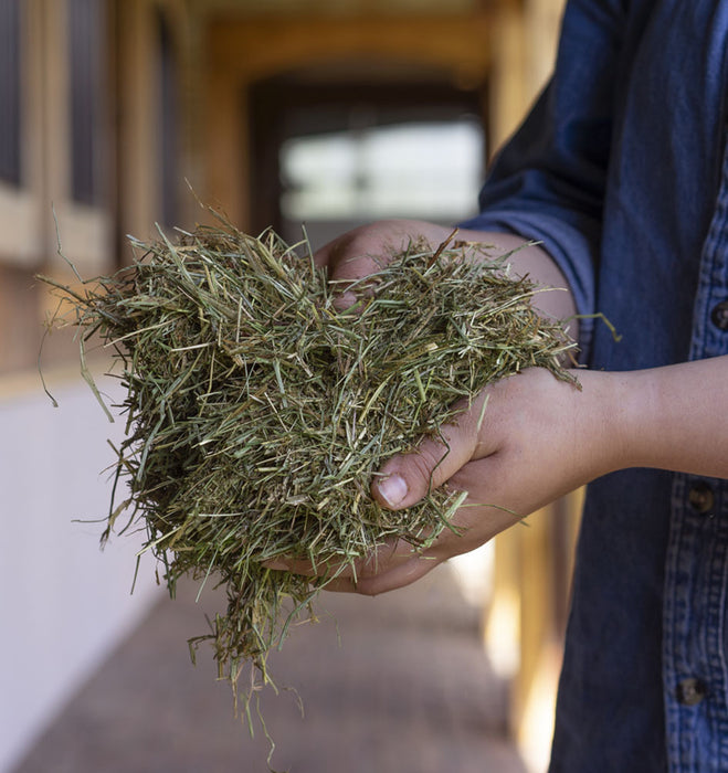 Triple Crown Safe Starch Fortified Forage