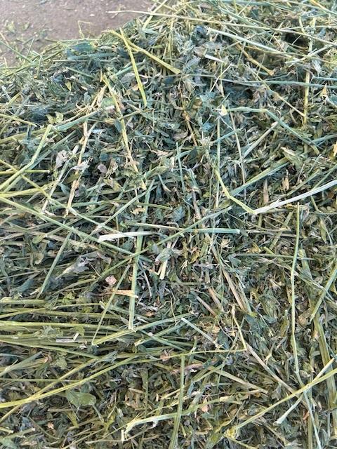 Alfalfa Hay Bale, 40 lbs - TEMPORARILY OUT OF STOCK