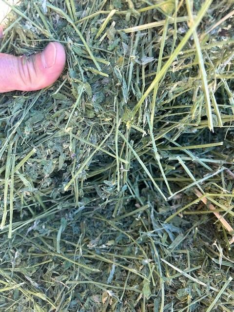 Alfalfa Hay Bale, 40 lbs - TEMPORARILY OUT OF STOCK