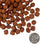 Fromm Nutritionals Sensitive Skin & Stomach Salmon & Whole Oats Dry Dog Food