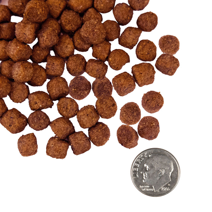 Fromm Nutritionals Sensitive Skin & Stomach Salmon & Whole Oats Dry Dog Food