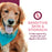 Fromm Nutritionals Sensitive Skin & Stomach Complete Dog Food, 13oz