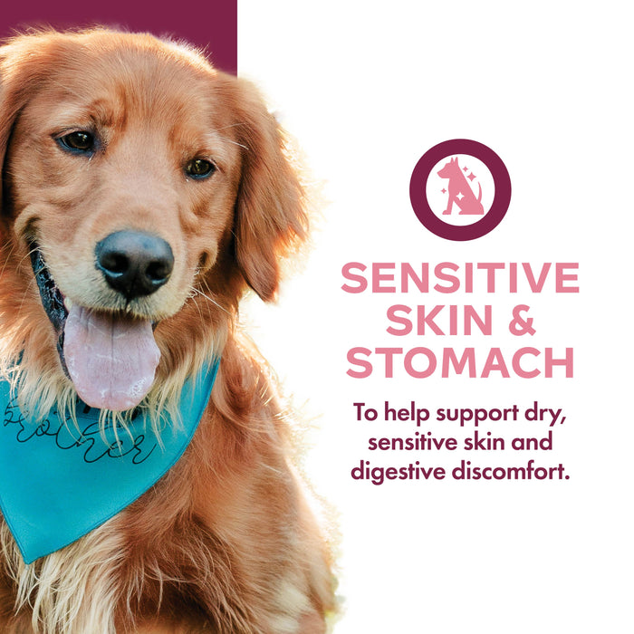 Fromm Nutritionals Sensitive Skin & Stomach Complete Dog Food, 13oz