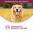 Fromm Nutritionals Sensitive Skin & Stomach Salmon & Whole Oats Dry Dog Food