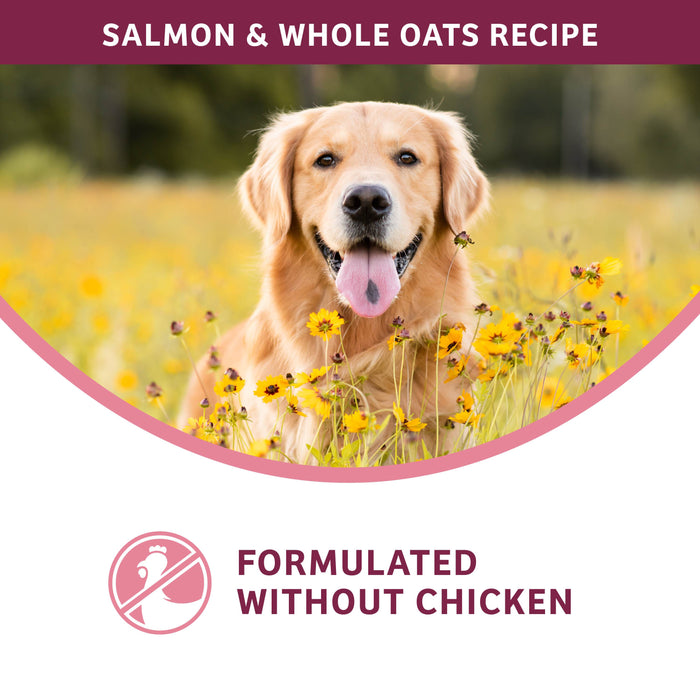 Fromm Nutritionals Sensitive Skin & Stomach Salmon & Whole Oats Dry Dog Food