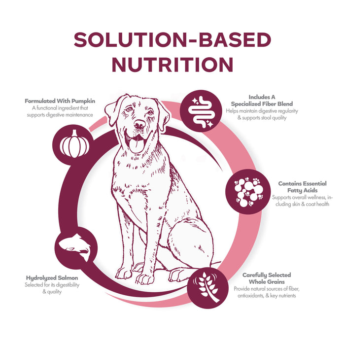 Fromm Nutritionals Sensitive Skin & Stomach Salmon & Whole Oats Dry Dog Food