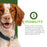 Fromm Nutritionals Mobility Chicken & Whole Oats Dry Dog Food