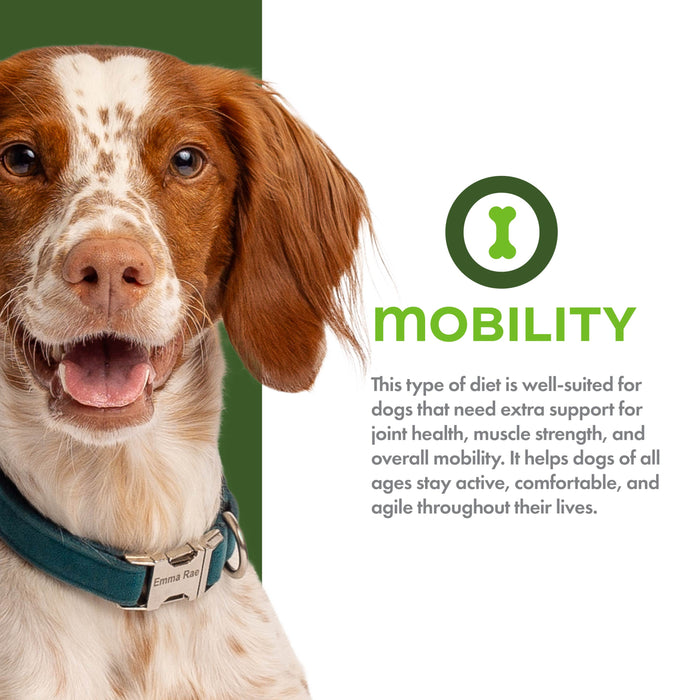 Fromm Nutritionals Mobility Chicken & Whole Oats Dry Dog Food
