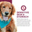 Fromm Nutritionals Sensitive Skin & Stomach Salmon & Whole Oats Dry Dog Food