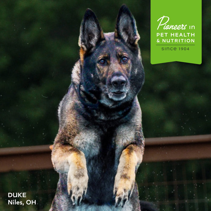 Fromm Nutritionals Mobility Dog Food Supplement Pâté, 13oz