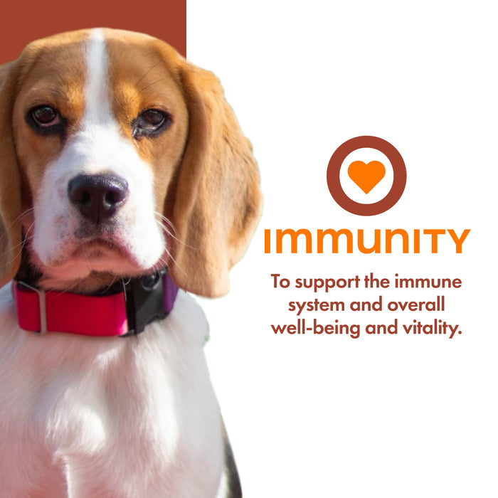 Fromm Nutritionals Immunity Dog Food Supplement Pâté, 13oz
