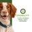 Fromm Nutritionals Mobility Dog Food Supplement Pâté, 13oz