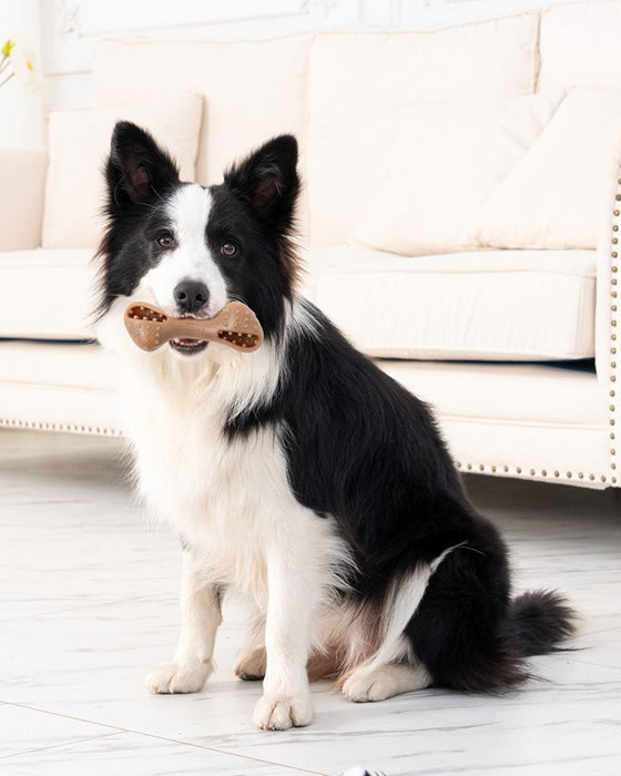 Freeze & Fill Chew Bone Dog Toy