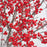 Holly, Berry Poppins® Winterberry