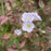 Polemonium reptans 'Stairway to Heaven'  - Stairway to Heaven Creeping Jacob's Ladder