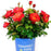 Rose, Cinnamon Hearts Rose