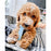 Nylabone Puppy Teething & Soothing Flexible Chew Dog Toy