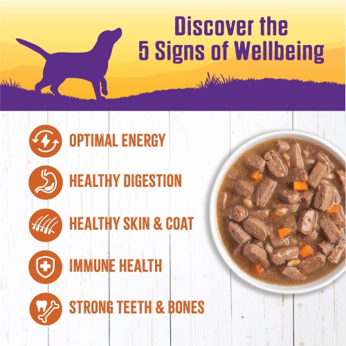 Wellness Natural Turkey Stew with Barley and Carrots Wet Canned Dog Food