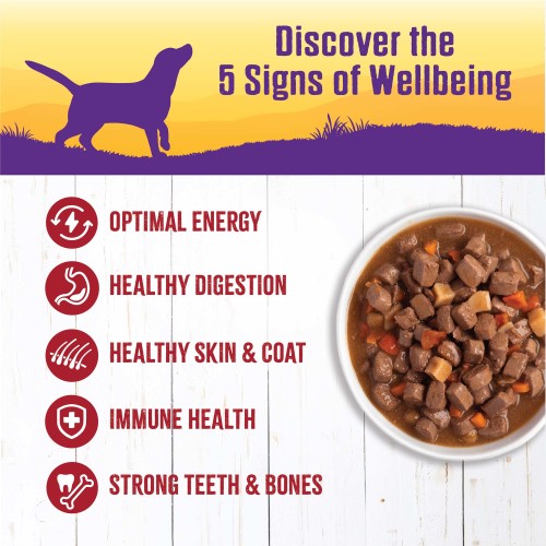 Wellness Grain Free Natural Beef Stew with Carrots & Potato Wet Canned Dog Food