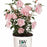 Hibiscus, Pink Chiffon® Rose of Sharon