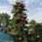 Trumpet Vine