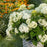 Hydrangea, First Editions® FlowerFull™ Smooth Smooth Hydrangea