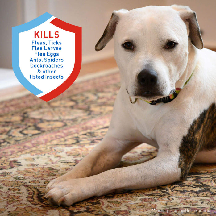 Adams Plus Flea & Tick Carpet Spray