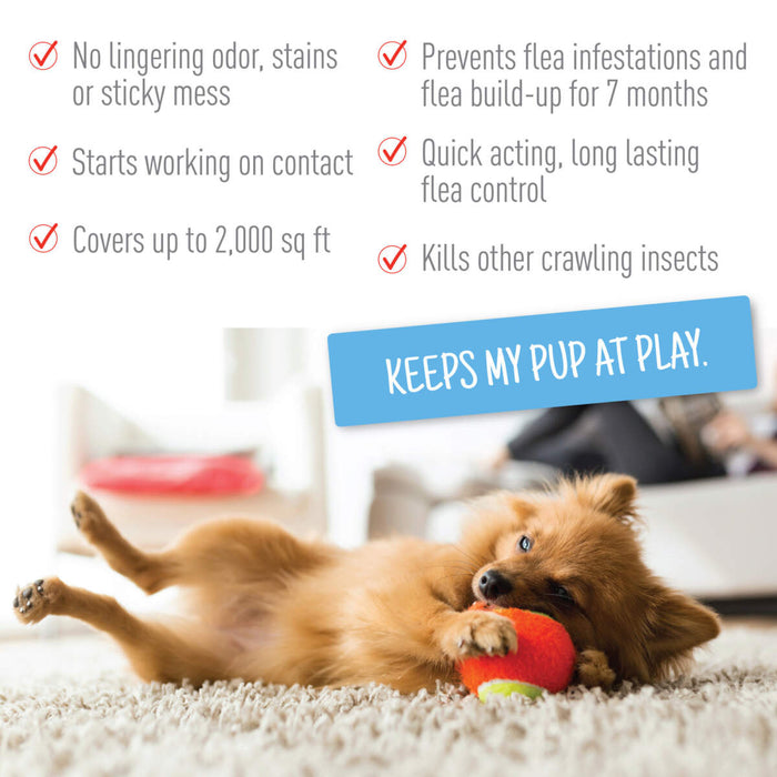 Adams Plus Flea & Tick Carpet Spray