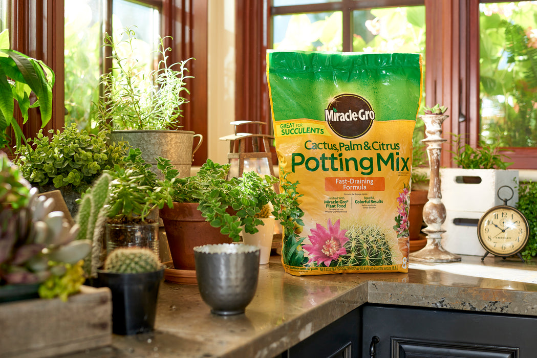 Miracle-Gro Cactus, Palm & Citrus Potting Mix