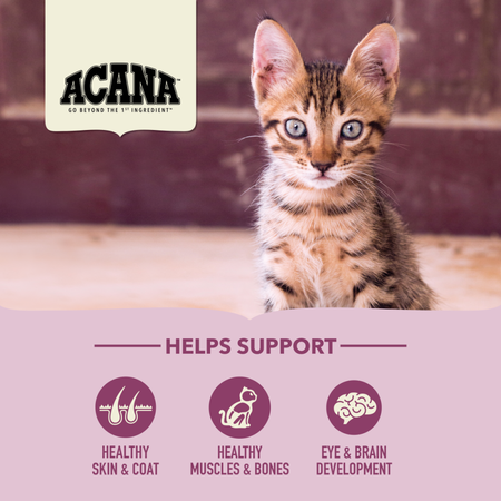 ACANA First Feast Kitten Dry Cat Food