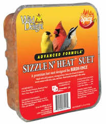 Wild Delight Sizzle N Heat Suet, 11.75oz