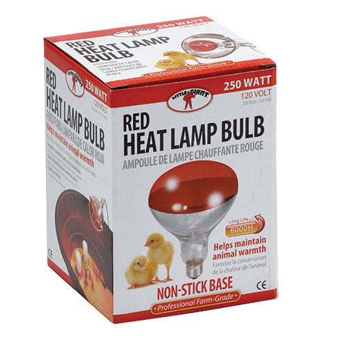 Little Giant Red Heat Lamp Bulb 250w