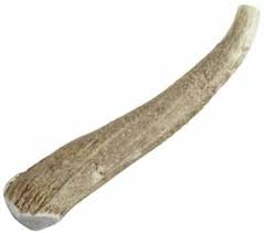 Happy Dog Whole Elk Antler, Jumbo