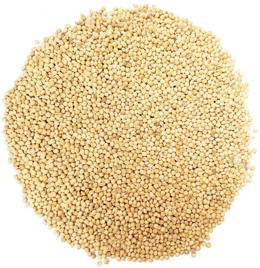Shafer White Millet, 50 lb