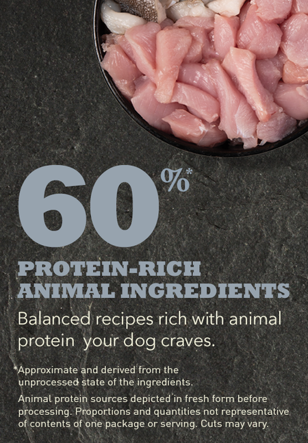 ACANA Light & Fit Formula Grain Free Dry Dog Food