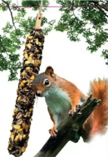 Squirrel Select Seed Stick, 7oz