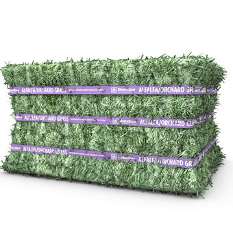 Standlee Premium Alfalfa/Orchard Grass Compressed Bale, 52.5 lbs