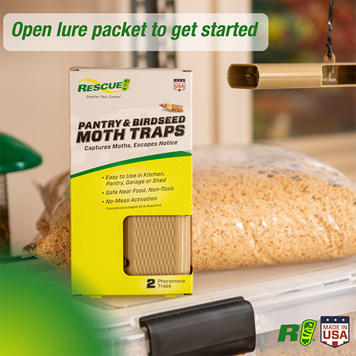 Pantry & Birdseed Moth Trap, 2pk