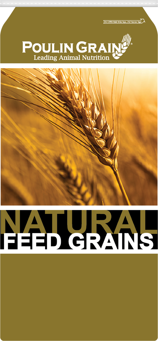 Poulin Grain Golden Select Whole Oats, 50 lb