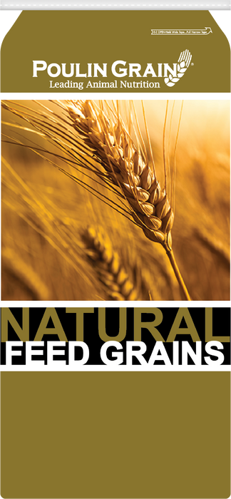 Poulin Grain Golden Select Whole Oats, 50 lb