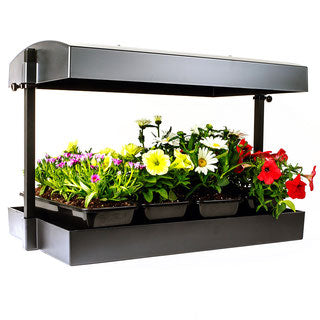 SunBlaster T5HO Growlight Garden