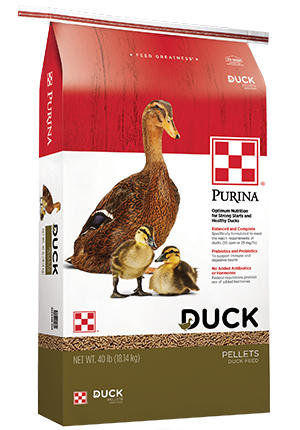 Purina® Duck Feed Pellets