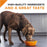 Purina Pro Plan Savor Chicken & Rice Entree Canned Adult Dog Food
