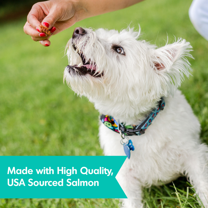 Dogswell Skin & Coat Mini Jerky Treats, Salmon, 4oz